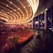 Andrew Abell Photo 22