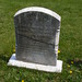 Elizabeth Tabor Photo 34
