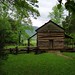 John Cove Photo 22