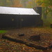 Russell Fields Photo 32