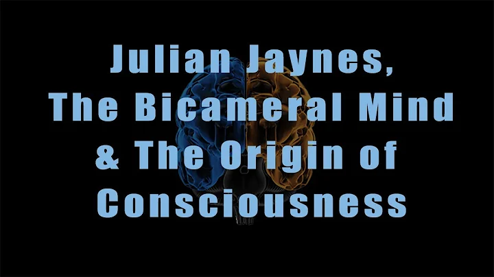 Julian Heimsness Photo 6