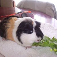 Christopher Grace Photo 14