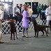 Marianne Schneider Photo 40