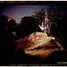 Abbey Scott Photo 35