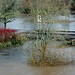 Eugene Flood Photo 23