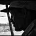 Leonardo Salinas Photo 29