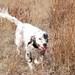 Kevin Rohrer Photo 26
