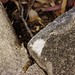 John Beecroft Photo 29