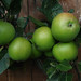 James Apple Photo 37