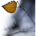 Piotr Pietrzak Photo 32