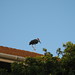 Karen Stork Photo 33