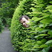 Jacob Hedges Photo 31