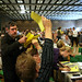 David Stemmer Photo 16