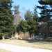 Adam Field Photo 35