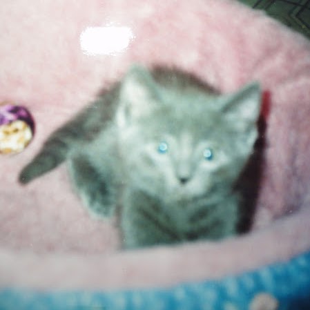 Susan Kirkpatrick Photo 14
