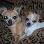 Vicki Mayer Photo 20
