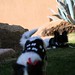 Mary Mcnabb Photo 39