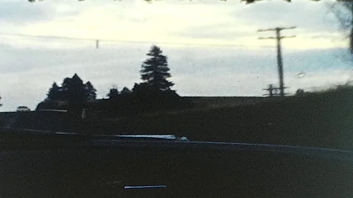Perry Palmer Photo 19