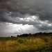Fang Pang Photo 22