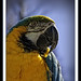Fred Greening Photo 12