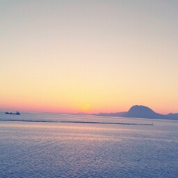 John Dimas Photo 14