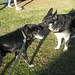 Max Carter Photo 43