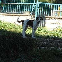 Maria Tassi Photo 2
