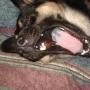 Jesse Helms Photo 18