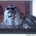Michael Oakes Photo 44