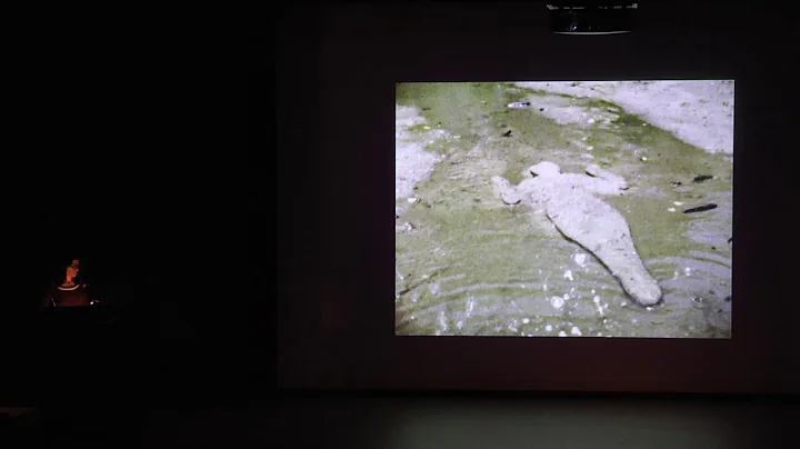 Ana Mendieta Photo 27