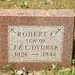 Robert Dvorak Photo 44