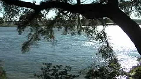 Kent Fletcher Photo 31