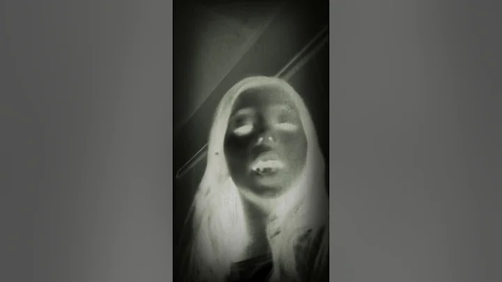 Timothy Wiener Photo 17