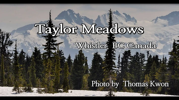 Taylor Meadows Photo 30