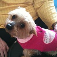 Carolyn Laird Photo 1