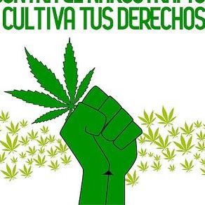 Miguel Caudillo Photo 10