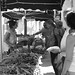 Vicki Sells Photo 18