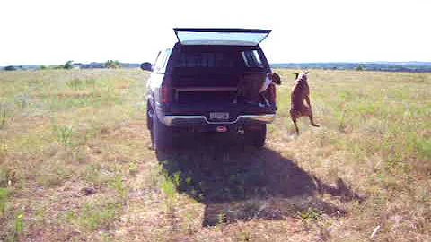 Brian Heishman Photo 8