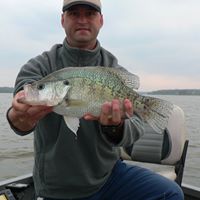 Mark Seay Photo 1