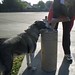 Lisa Bohn Photo 40