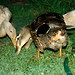 Sally Miracle Photo 22