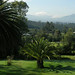 Claudia Monsalve Photo 27