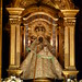 Maria Guadalupe Photo 45