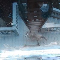 Jason Greiner Photo 4