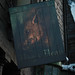 S Head Photo 16