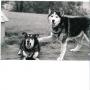 Carla Bates Photo 28