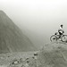 David Zhu Photo 42
