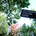 Flor Colon Photo 22