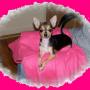 Jean Hedrick Photo 4