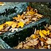 Robert Wilmore Photo 24